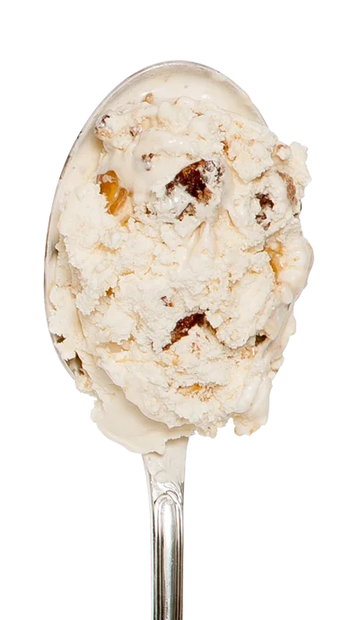 Caramel Pecan snugburys icecream