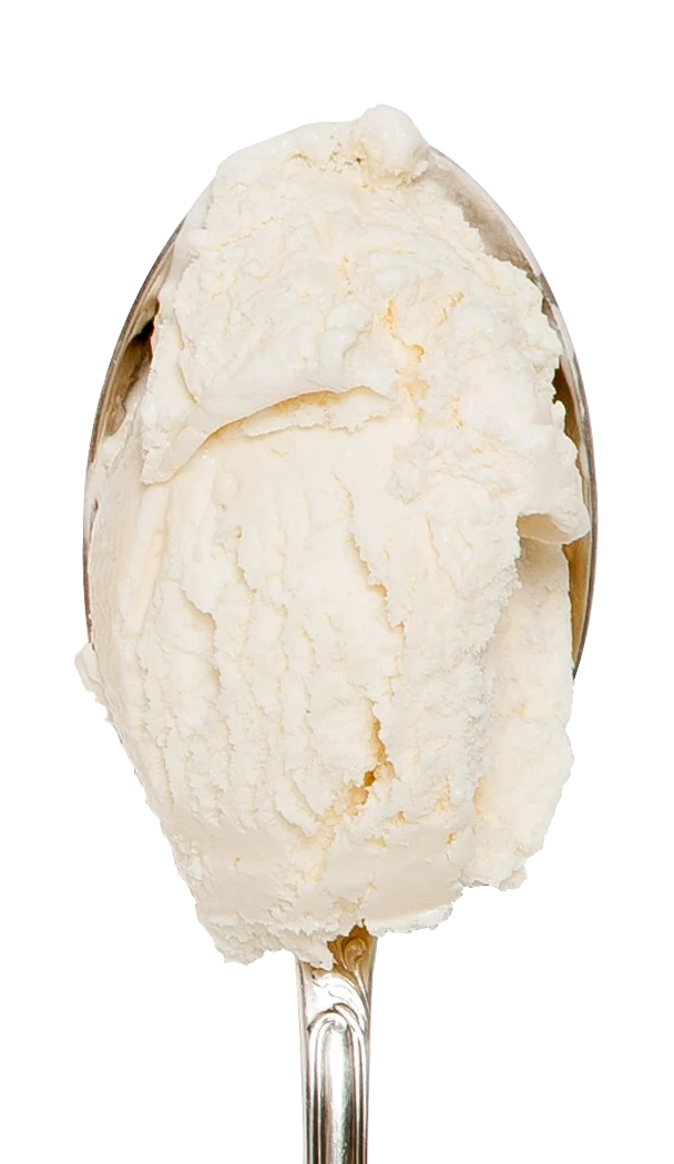 Coconut snugburys icecream