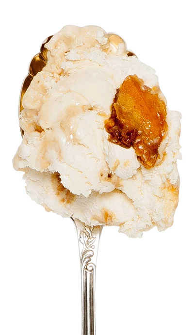 Honeycomb snugburys icecream