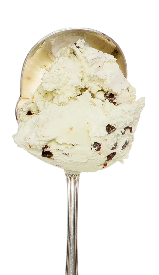 Mint Choc Chip snugburys icecream