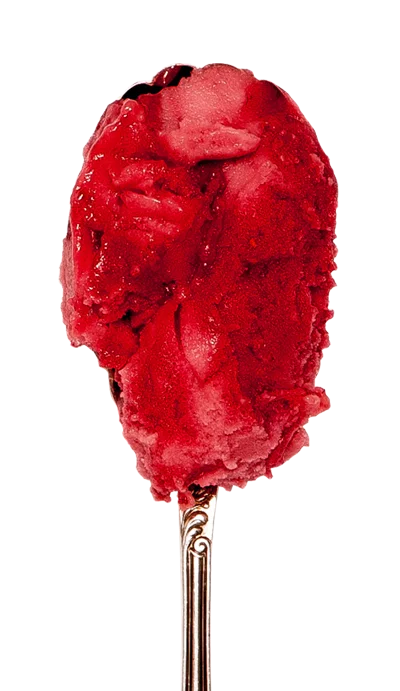 Raspberry Sorbet snugburys icecream