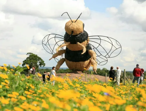 This guy is creating a real buzz here at Snugburys
