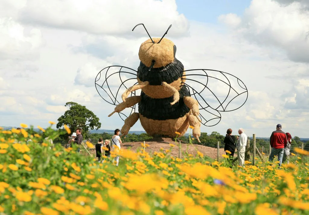Bee Sculpture Snugburys