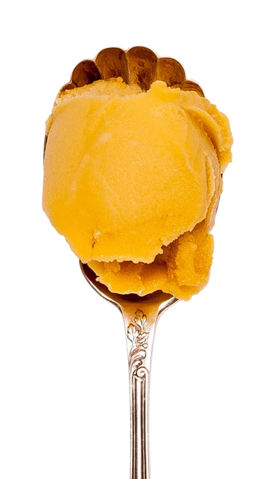 Mango Sorbet