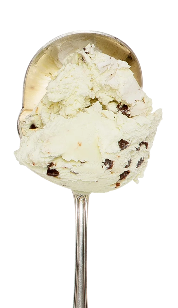 Mint Choc Chip