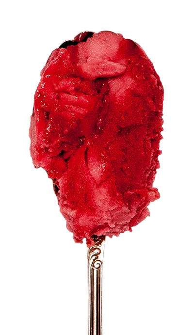 Raspberry Sorbet