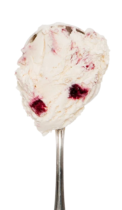 Damson & Sloe Gin (seasonal – winter)